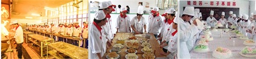 廚師需要學(xué)習(xí)烹飪多少道菜？
