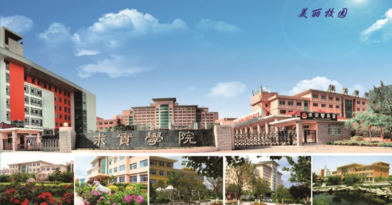 青島哪所學(xué)校開設(shè)了空中乘務(wù)專業(yè)？