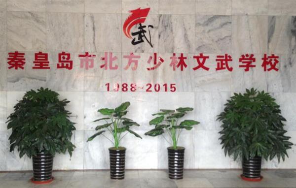 秦皇島北方少林文武學(xué)校就業(yè)如何？這答案你放心！