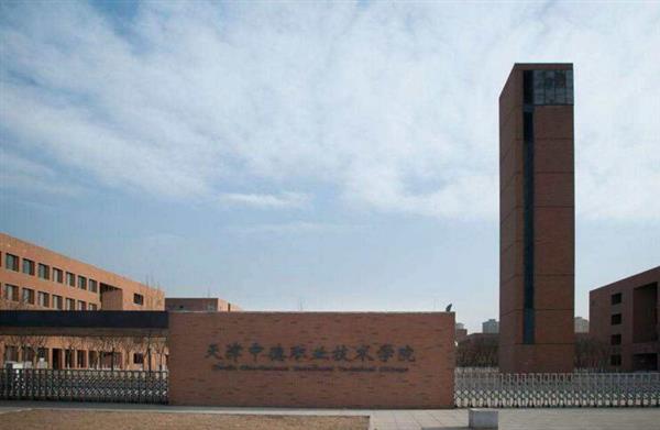 天津中德職業(yè)技術學院是一所怎么樣的學校？