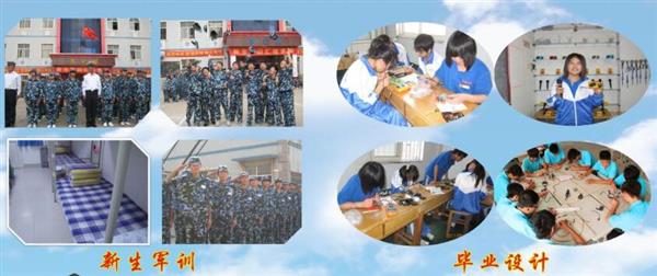 青島海信中心聯(lián)校收費(fèi)標(biāo)準(zhǔn)是什么？