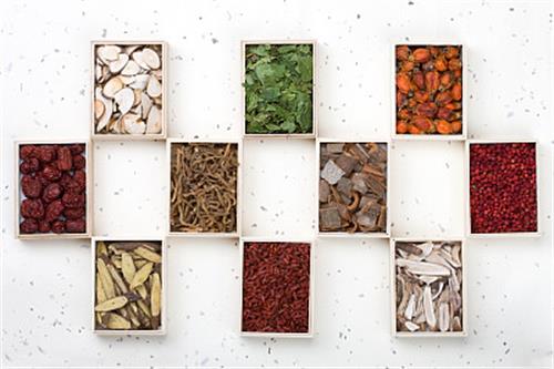 山東醫(yī)藥技師學(xué)院中藥系專業(yè)有哪些？