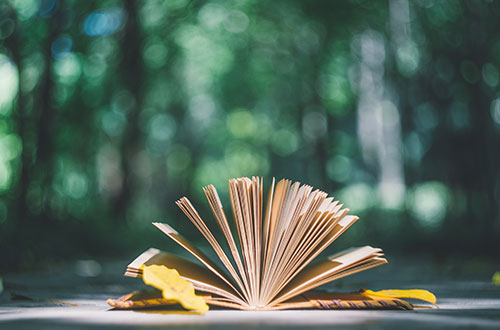 臨沂能源學校怎么樣？學校的就業(yè)情況怎么樣？