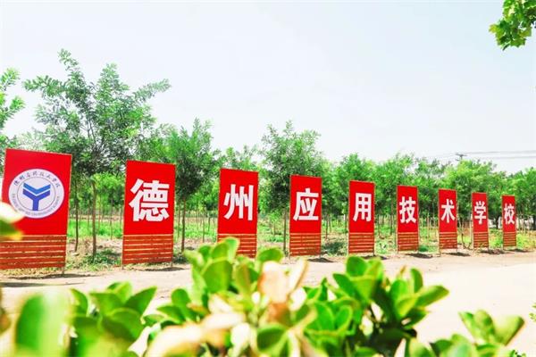 機(jī)電一體化和數(shù)控一樣嗎？