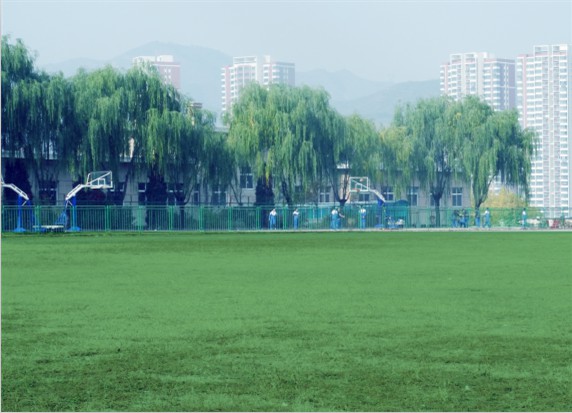青島滿天星職業(yè)培訓(xùn)學(xué)校怎么樣？