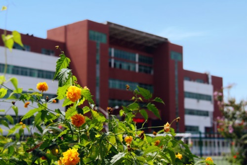 通過單招考取大學有哪些優(yōu)勢？