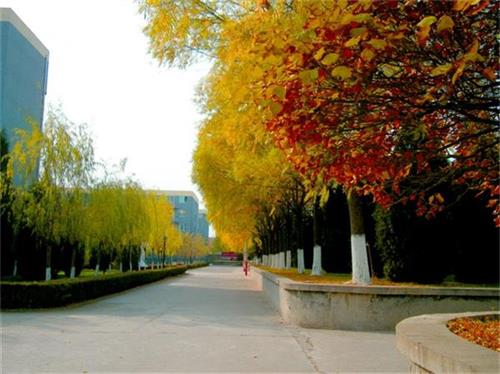 北京現(xiàn)代體育學(xué)院、航空乘務(wù)學(xué)院設(shè)施好嗎？
