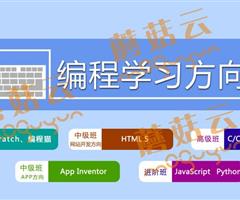 孩子為什么要盡早學習少兒編程。濟寧蘑菇云少兒編程