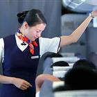 航空服務(wù)（票務(wù)、安檢方向）、航空乘務(wù)定向委培