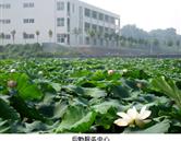 鄭州澍青醫(yī)學高等?？茖W校